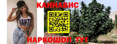 крисы Обь