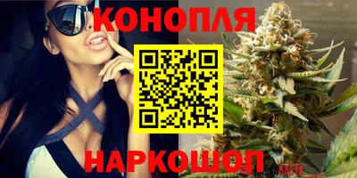 гидропоника Нягань