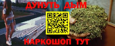 крисы Обь