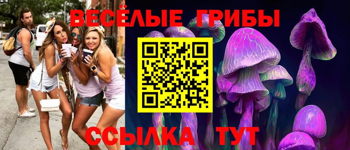 Галлюциногенные грибы Cubensis  Вход с VPN  Галлюциногенные грибы MAGIC MUSHROOMS  Ялта 