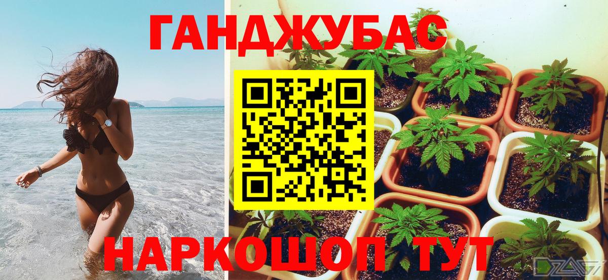 Шишки марихуана план  Вход с VPN  Марихуана OG Kush  Каннабис MAZAR  Каннабис планчик  Ялта 